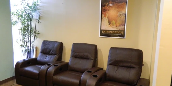 Center for Network Therapy